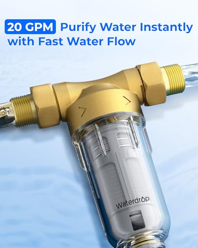 Backwashing Mechanism