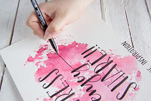 SAKURA MARCADOR PINCEL ARTISTICO PIGMA BRUSH PEN - FINO - USO PROFISSIONAL, Preto