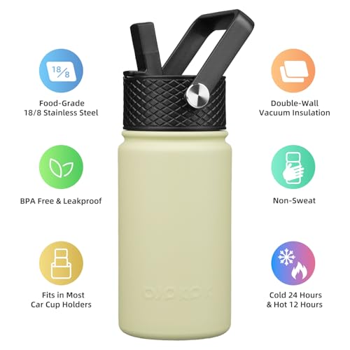 Image of BJPKPK Insulated Water Bottle, 15oz Stainless Steel with Straw Lid