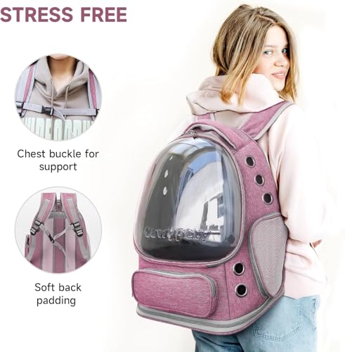 Image of Cawypety Cat Backpack Carrier, Breathable Cat Carrier Pet Backpack for Kitty Small Dog Up to 15Lbs, Transparent & Foldable Pet Carrier for Travel Hiking (Pink.)