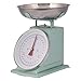 Produktbild Vintage Retro Küchenwaage Waage PLINT Design Tellerwaage Metallwaage Landhaus (Leaf Mint)