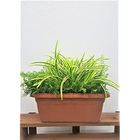 Amazon 造花 人工観葉植物 グリーンプランター 屋外使用可 中段 人工観葉植物 オンライン通販