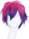 QWIFCMJF No Game No Life Sora Wig Red Purple Short Gradient Hair Multi-Color Heat Resistant Sythentic Hair Role Play Sora Wigs Men