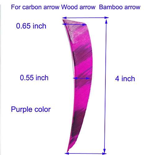 Ameyxgs 4 Inch Arrow Feather Fletching Turkey Feather Natural Arrow Vanes Shield Right Wings Vanes For Diy Arrows Accessories 50Pcs (Purple) #TOP5