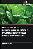 Edizioni Sapienza