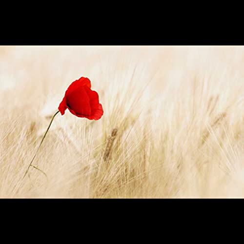 Chapter 9. A multitude of colours (Trisha)