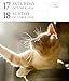 Cat Page-A-Day® Gallery Calendar 2026: A Delightful Gallery of Cats for Your Desktop