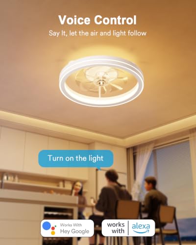 Image of Lumary Smart Ceiling Fans with Lights and Remote, WiFi & Bluetooth Low Profile Ceiling Fan with 2200K Nightlight for Bedroom, RGBAI & 42 Scenes Mode, Flush Mount Easy to Install, 5000 LM, 19 In White