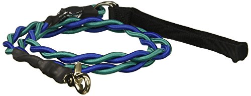 Bungee Pupee 6-Feet Medium Leash, Teal/Blue
