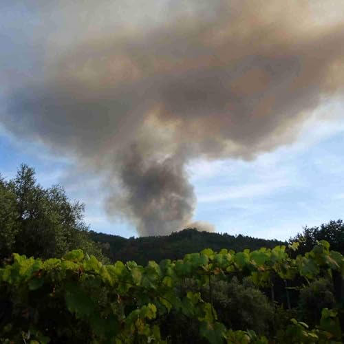 Portugal is burning: Insights, epiphanies & notes, Episode 6