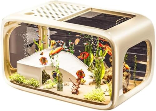 DancJulieZbg Ȑ{ ^ ȒPa Ϗܐ gщ\ ʊϏ ʋCE É ԍČ ybg ϋv VvȊO CeAArO[AւɓKĂ܂ (uE,fbNXo[W) (