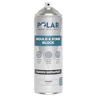 Polar Anti Mould & Stain Block Spray - 500ml | Matt White | Instantly Blocks Mould & Prevents Previous Stains from Reappearing on Internal Walls & Ceilings | Multi Purpose Anti Mould Paint