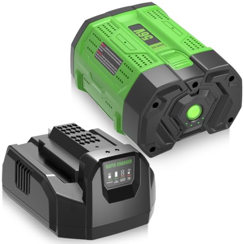 Image of 1Pack 10000mAh Replacement for EGO 56V Battery with Charger CH2100 (Green)