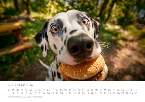 Edition Seidel Premium Kalender Dalmatiner Hundespaß gepunktet 2026 Format DIN A3 Wandkalender Hundekalender Hund Welpe Tierkinder Hunderasse Haustier niedlich