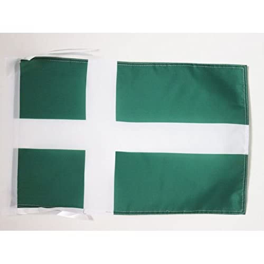 AZ FLAG - Puerto Rico independentist Flag - 18'' x 12'' - 100% Polyester Puerto Rican Small Banner with Two Cords - Fade Resistant - Vivid Colors - 18x12 in - 45x30 Cm โ image 1
