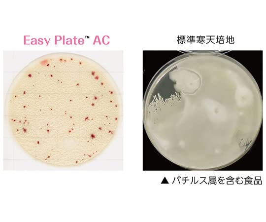 とこです Amazon | キッコーマンバイオケミファ EasyPlate 一般生菌数測定