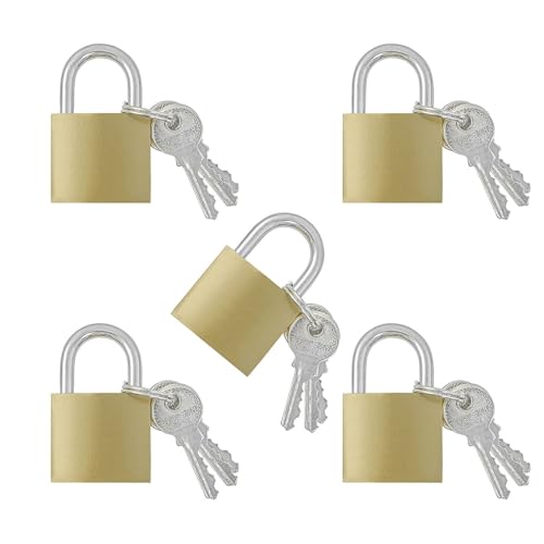 TTQiAnJ 5 Pezzi 32 mm Lucchetto,Mini Lucchetto con Chiave,Metallo Piccolo Lucchetto per Valigie,Armadietti,Bagagli,Borse da Viaggio,Zaino