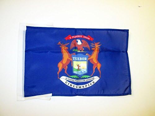 AZ FLAG, Michigan Flag, 18'' x 12'', 100% Polyester US state of Michigan Small Banner with Two Cords, Fade Resistant
