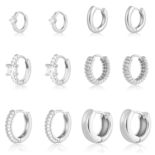 Wgoud Small Gold Hoop Earrings Set for Women, 6 Pairs 14K Gold Plated Hypoallergenic Lightweight Huggie Hoops Earrings, Trendy Cartilage Cubic Zirconia Earrings for Women Gifts. (C-Silver hoops)