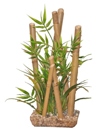 TYROL BAMBOU LARGE PLANTES POUR AQUARIUM