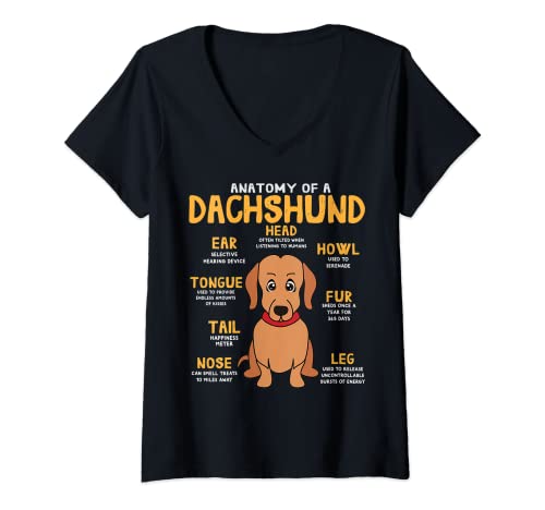 Mujer Dachshund Doxie Weenie Anatomy Funny Dog Mom Dad Lindo regalo Camiseta Cuello V