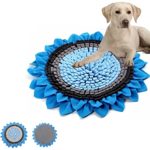 m[Y[N}bg - Xibt Hh~ }bgkoP pY͎Rȍ̉aXLサ H΍ ^s XgX