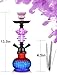 12'' 2 Hose Hookah Set With Everything - Modern Glass Vase, 50 Foil, 50 Tips (Purple)