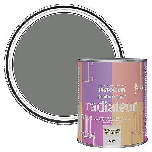 Rust-Oleum Peinture Grise Résistante à la chaleur pour Radiateur, Finition Mate - Gris Ombre 750ml