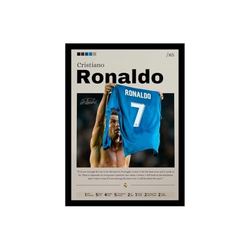 Image of BLINKART Daniil Medvedev |Tennis Player | Synthetic Wood Photo Framed Wall Hanging Poster Room & Office Bedroom Home Wall | 13x10 Inches