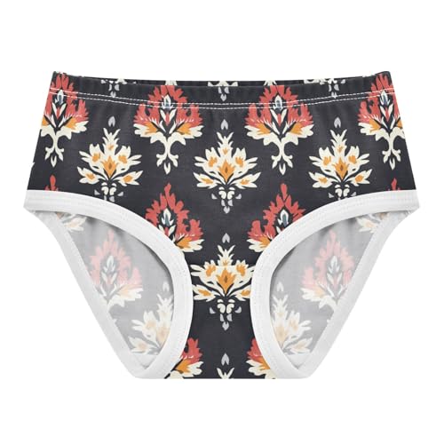 ZZKKO Ethnic Pattern Floral Girls Underwear Toddler Panties for Girls Comfort Brief Size 2-8T