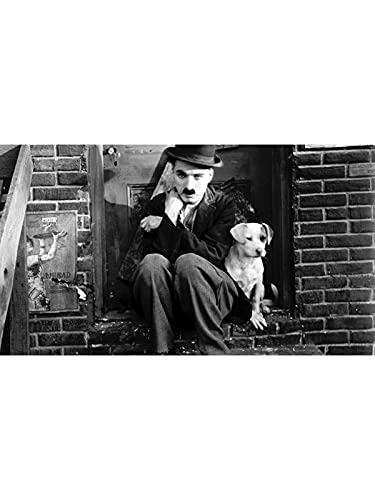 Poster Charlie Chaplin La vie du chien 50 x 70 cm pour salon retro chic