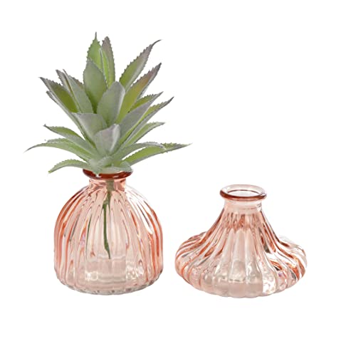 Nordstern Mini jarrones Albaricoque (2 Unidades) Cover