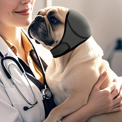 Beruhigender Hunde-Hoodie – verstellbarer, rutschfester Ohrenschützer. Wirksamer Schutz vor Schreck beim Schwimmen im Sommer. Geeignet zum Schwimmen, für medizinische Behandlungen, Baden und zum Trage