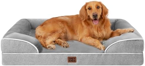 Orthopedic Dog Beds