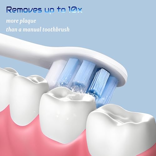Sonic Elektrische Zahnbürsten für Erwachsene, 5 Reinigungsmodi, 2 Minuten Smart Timer, IPX7 Wasserdicht, Federungsmotor, Farbverlauf (Blau, Y1) – Bild 7