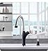 BLANCO, Anthracite 442023 ARTONA Color-Coordinated Pull-Down Dual Spray Kitchen Faucet, 2.2 GPM