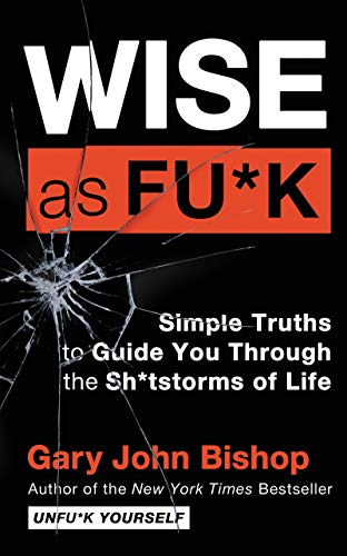 Wise As Fu K view 2