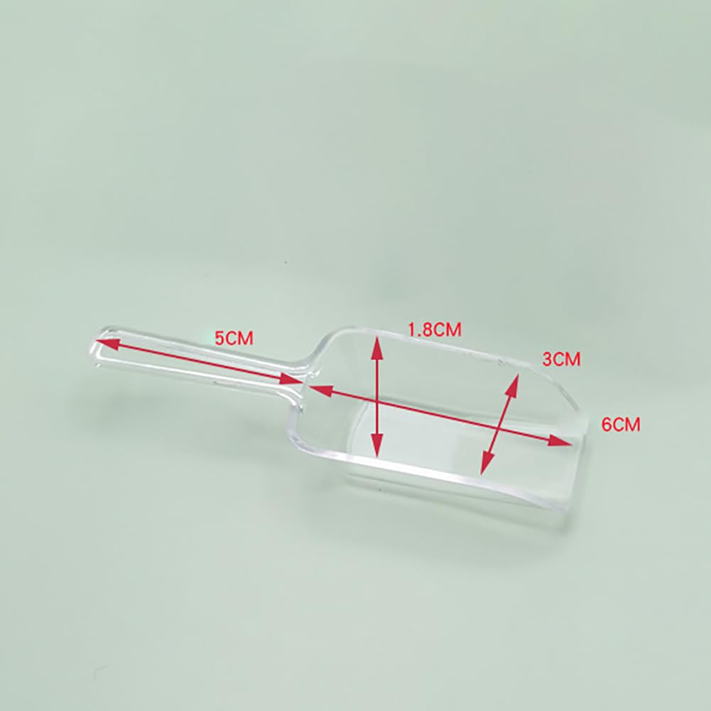 ENSEMBLE DE PELLES à Glace Pratique Pour Manipulation Facile Du Sucre