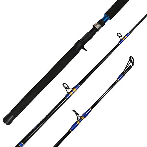 Best Saltwater Jigging Rod
