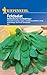 Produktbild Kiepenkerl Feldsalatsamen Holländischer breitblättriger 311 - Salatsamen - Saatgut - Inhalt für 6 lfd. Meter - hohe Erträge - Gut für die Herbstkultur