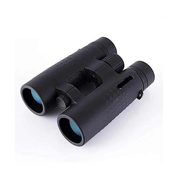 ZYXYYDS Hd Langlebiges High-Definition-Fernglas Nachtsicht Wasserdichtes tragbares Weitwinkel-Teleskop