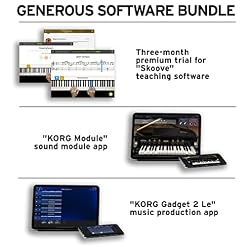 Korg Liano Piano numérique portable avec clavier doux au toucher Noir - Les Beatles, Paul McCartney, John Lennon, RIngo Starr, George Harrison Korg Liano Piano numérique portable avec clavier doux au toucher Noir – Image 7