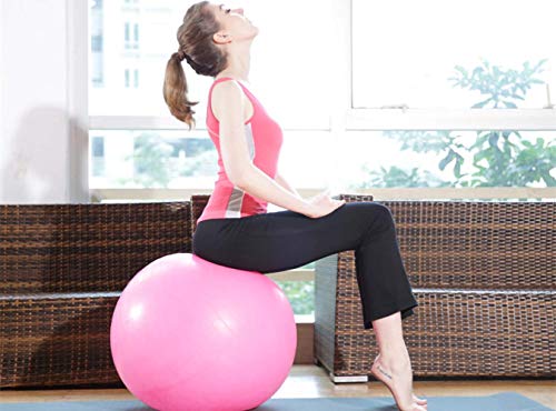 Thickening Total Body Balance Ball Kit - Includes Anti-Burst Stability Exercise Yoga Ball, Workout Program- 26 inch Pink