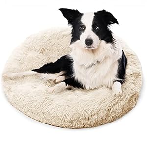 Premium Dog Beds for Large Dogs and Medium Dogs – Portable Dog Beds & Furniture – Dog Travel – Fits up to 45lbs, 30″ x 30″ (Medium, Beige)