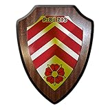 Wappenschild PzBtl 213 Panzerbataillon BW Augustdorf GFM Kaserne - #17346