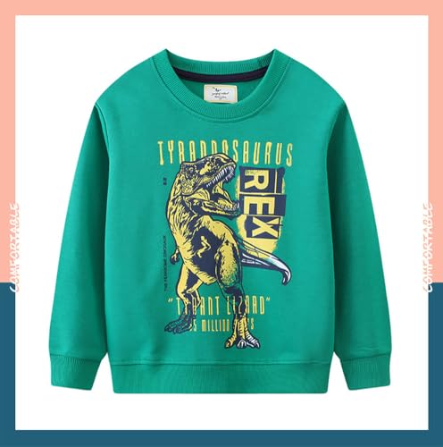 Boys Sweatshirts Casual Sweatshirts Cotton Sweatshirts Long Sleeve T-shirts Crew Neck Cartoon Tops for Boys-1203