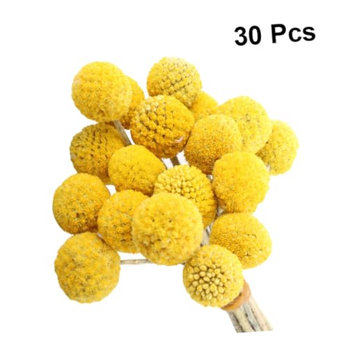 30 piezas de flores secas Craspedia decorativas amarillas miniatura 3