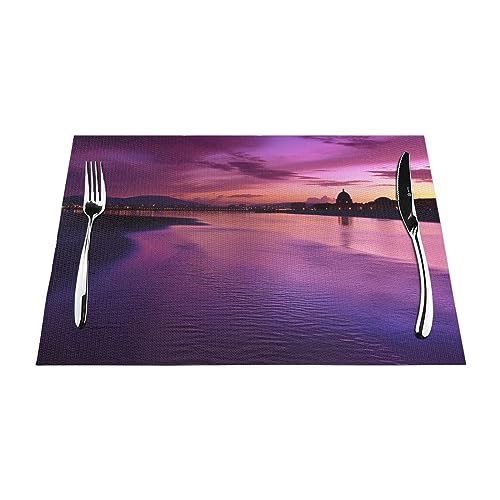 Sets de table violets lavables pour en finir avec les taches de cuisine - 4