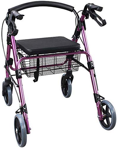 ȂtĂ鍂҂̗Ăst[̃VbsO J[ĝ߂̃A~jE EH[J[ Full of stars