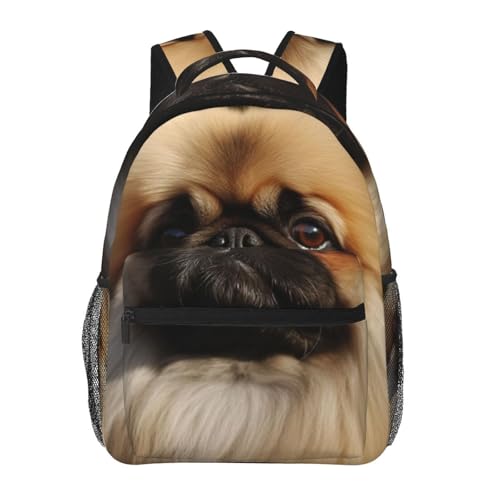 Sac à dos de voyage léger pour ordinateur portable et trajets urbains